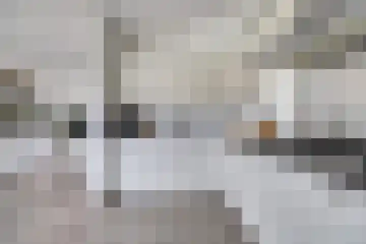 Drenkwaard 11 Zuidland thumbnail 14