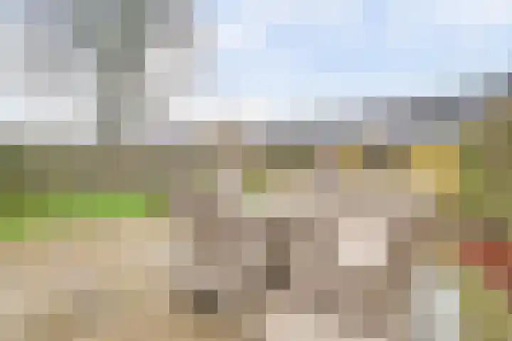 Drenkwaard 11 Zuidland thumbnail 25