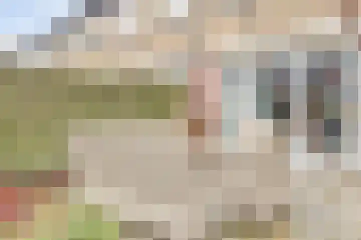 Drenkwaard 11 Zuidland thumbnail 26