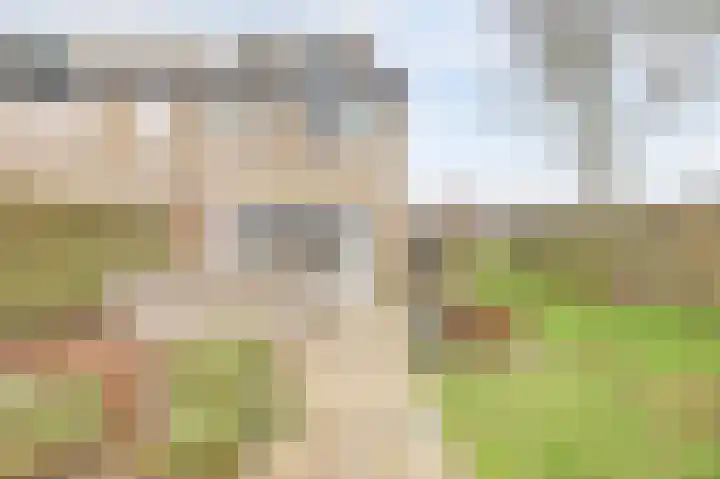 Drenkwaard 11 Zuidland thumbnail 27