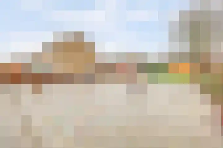 Drenkwaard 11 Zuidland thumbnail 28