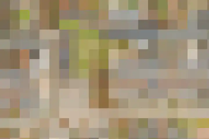 Drenkwaard 11 Zuidland thumbnail 29