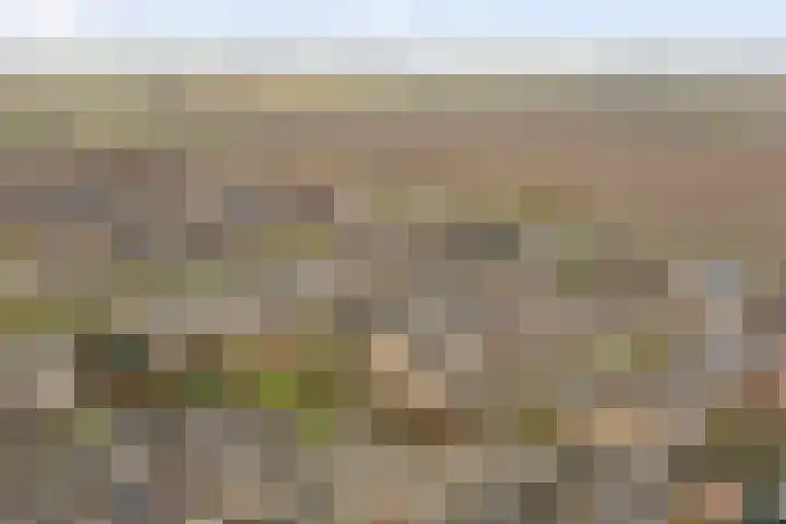 Drenkwaard 11 Zuidland thumbnail 31