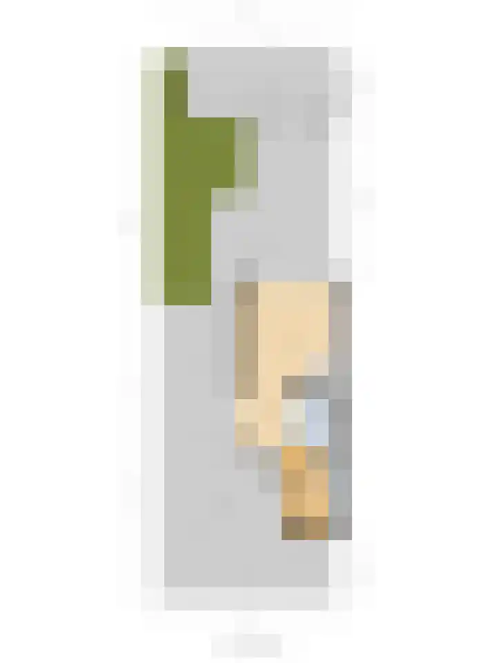 Drenkwaard 11 Zuidland thumbnail 33