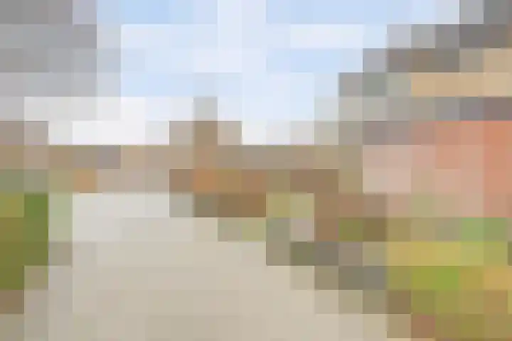 Drenkwaard 11 Zuidland thumbnail 4