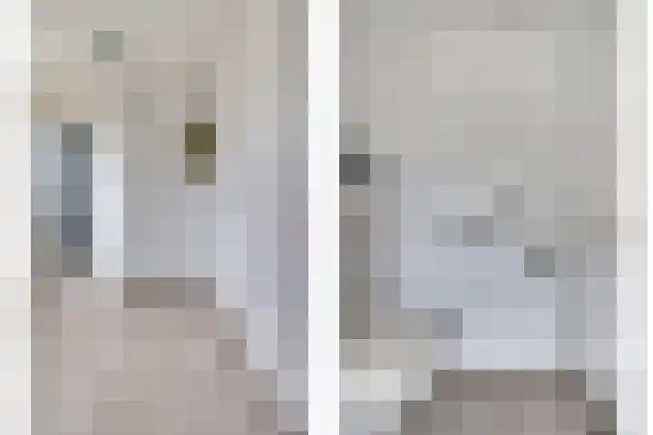 Drenkwaard 11 Zuidland thumbnail 6