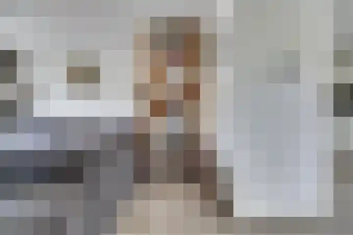 Drenkwaard 11 Zuidland thumbnail 7