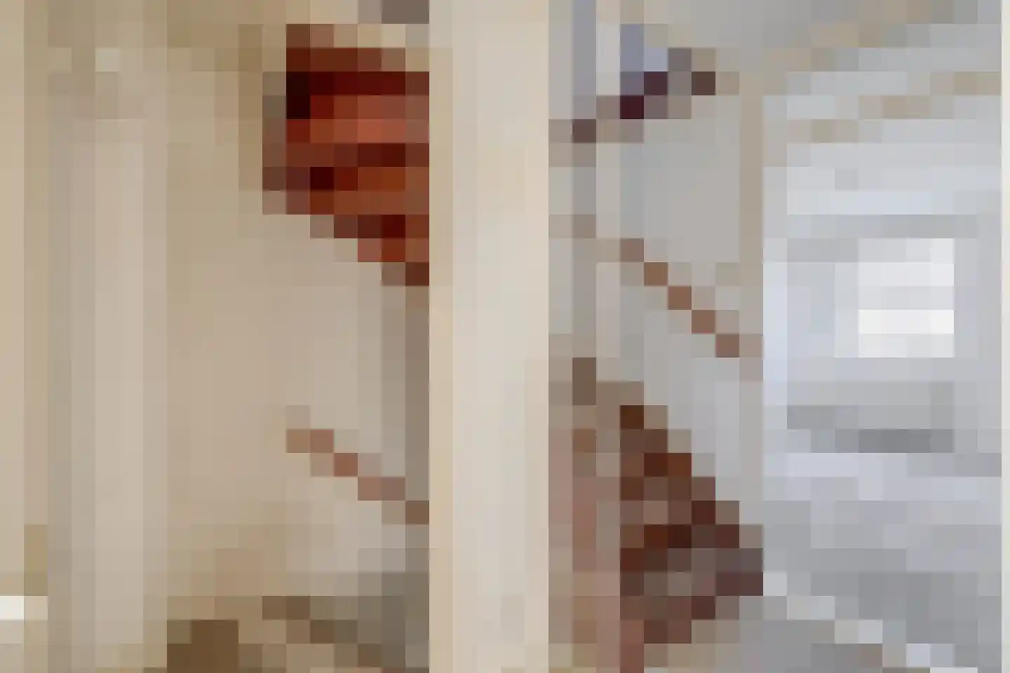 Drenkwaard 14 Zuidland thumbnail 23