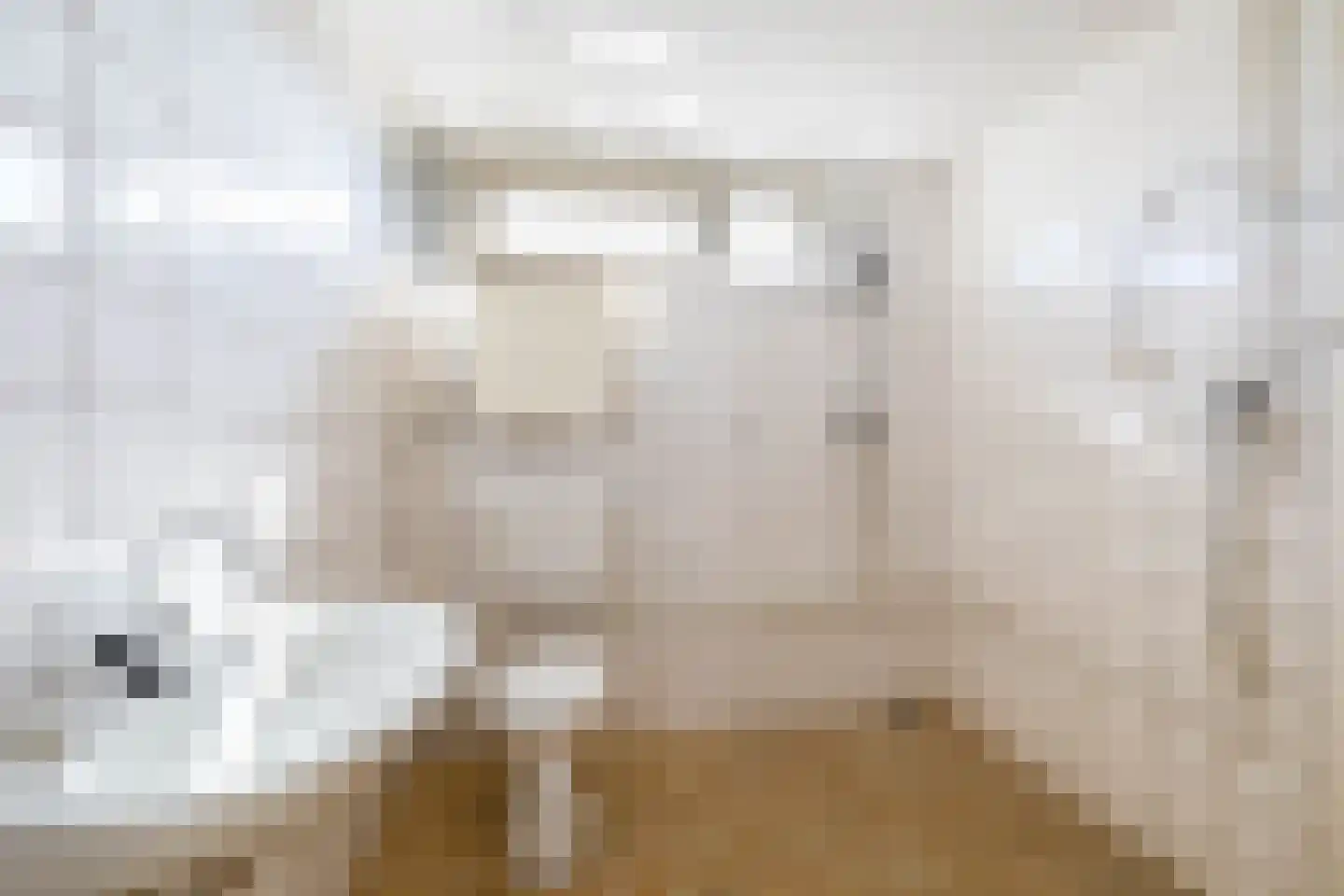 Drenkwaard 14 Zuidland thumbnail 25