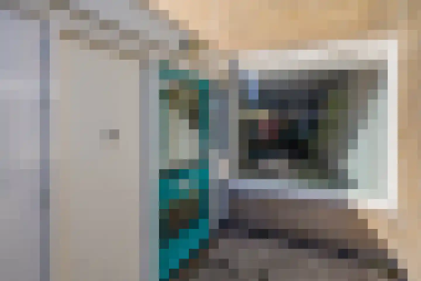 Drenkwaard 14 Zuidland thumbnail 32
