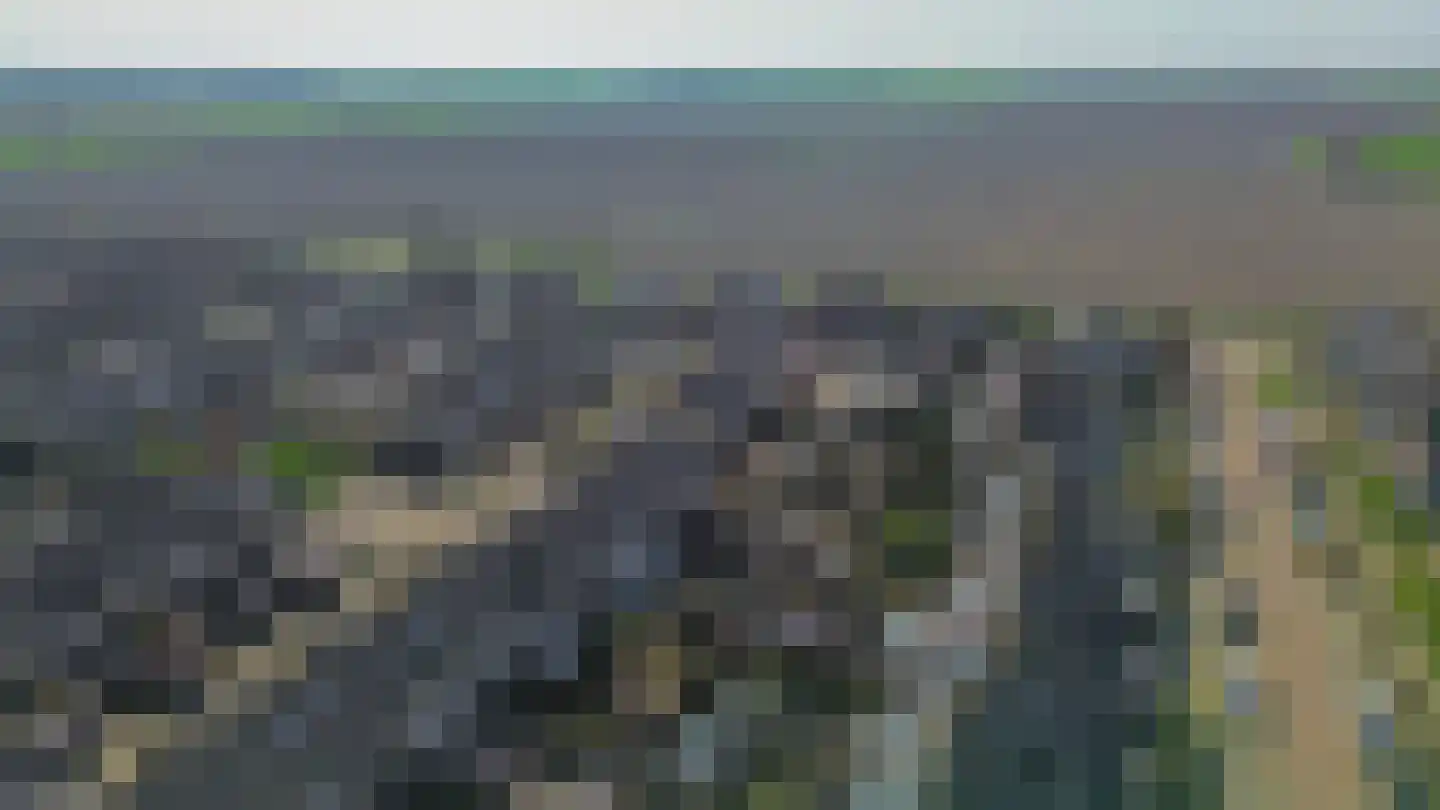 Drenkwaard 14 Zuidland thumbnail 33