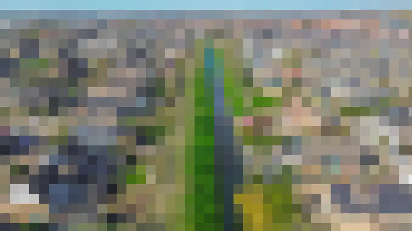 Drenkwaard 14 Zuidland thumbnail 4