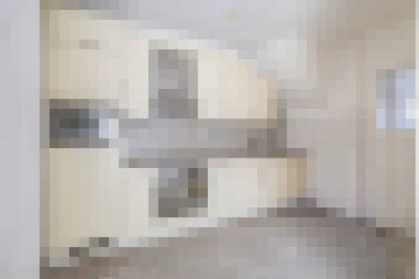Drenkwaard 14 Zuidland thumbnail 6