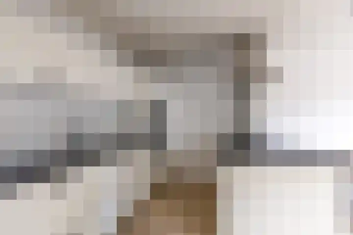 Drentelaan 10 Son en Breugel thumbnail 11
