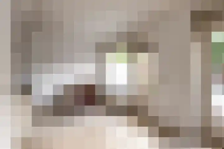 Drentelaan 10 Son en Breugel thumbnail 13