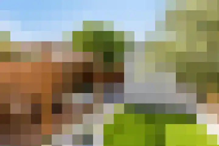 Drentelaan 10 Son en Breugel thumbnail 25