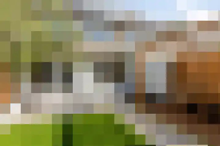 Drentelaan 10 Son en Breugel thumbnail 26