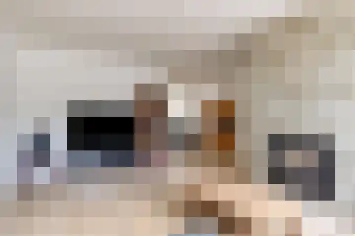 Drentelaan 10 Son en Breugel thumbnail 7