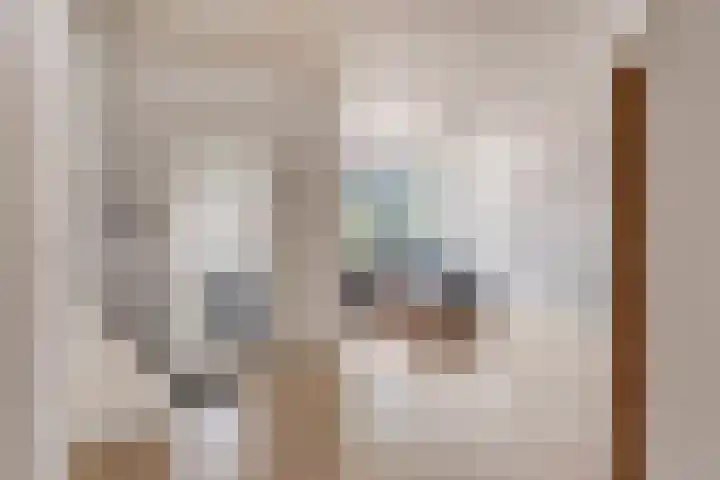 Drentelaan 10 Son en Breugel thumbnail 8