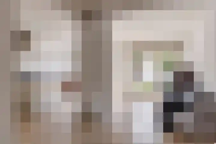 Drentelaan 10 Son en Breugel thumbnail 9