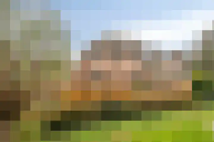 Drentelaan 18 dans Lage Zwaluwe