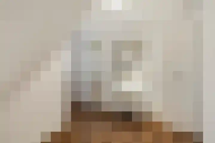 Drentelaan 18 Lage Zwaluwe thumbnail 17