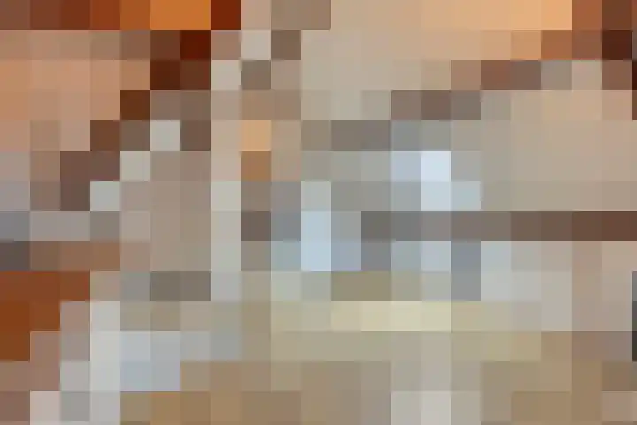Drentelaan 18 Lage Zwaluwe thumbnail 21