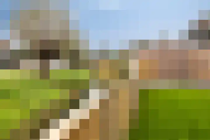 Drentelaan 18 Lage Zwaluwe thumbnail 26