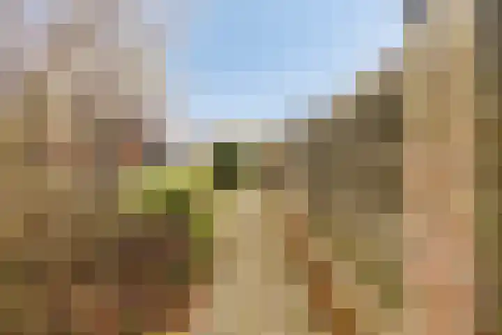 Drentelaan 18 Lage Zwaluwe thumbnail 27
