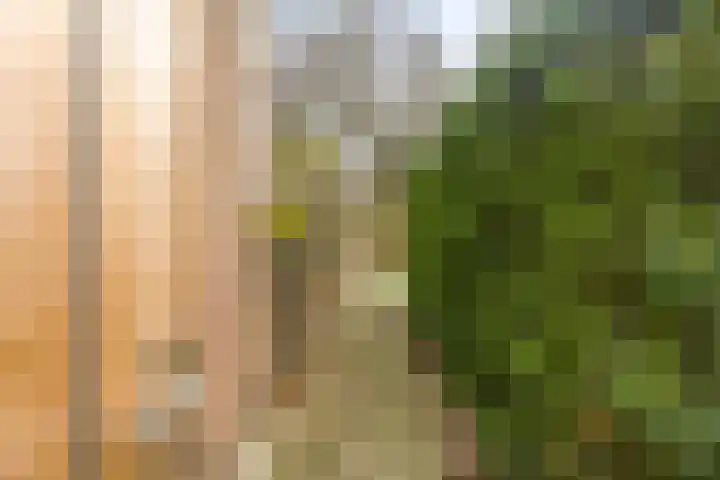 Drentelaan 18 Lage Zwaluwe thumbnail 28