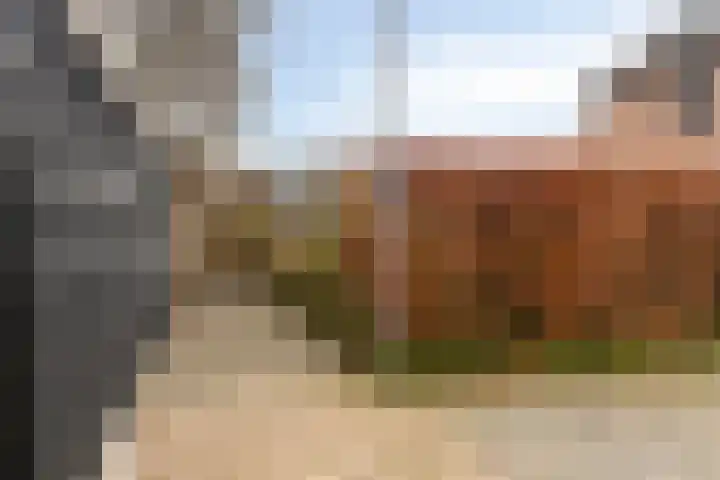 Drentelaan 18 Lage Zwaluwe thumbnail 29