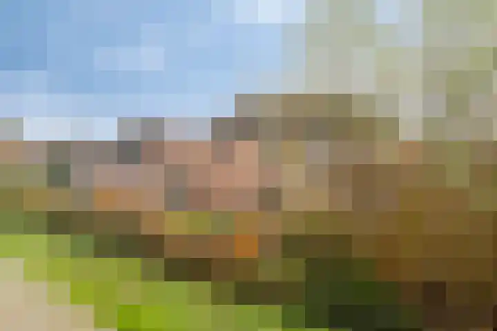 Drentelaan 18 Lage Zwaluwe thumbnail 30