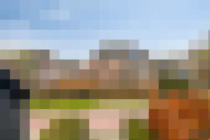 Drentelaan 18 Lage Zwaluwe thumbnail 31