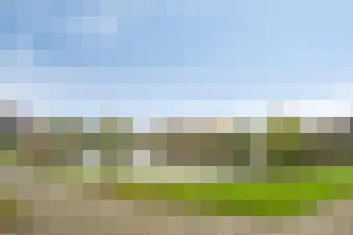 Drentelaan 18 Lage Zwaluwe thumbnail 32