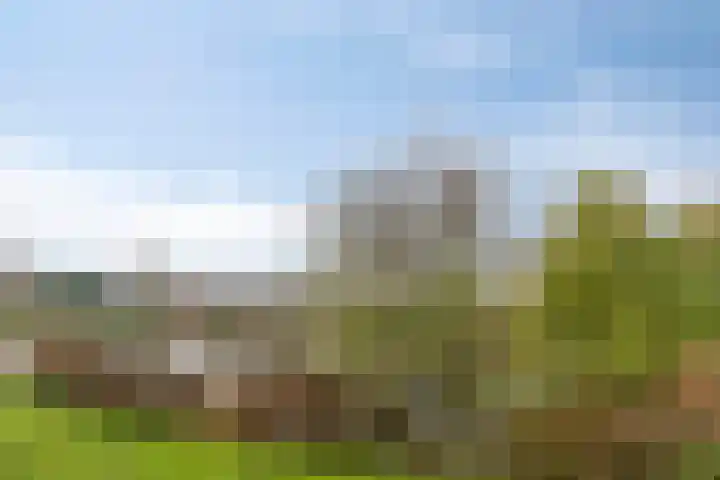 Drentelaan 18 Lage Zwaluwe thumbnail 33