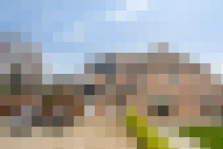 Drentelaan 18 Lage Zwaluwe thumbnail 4