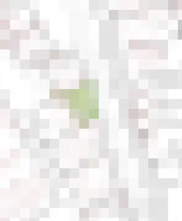 Drentelaan 18 Lage Zwaluwe thumbnail 41