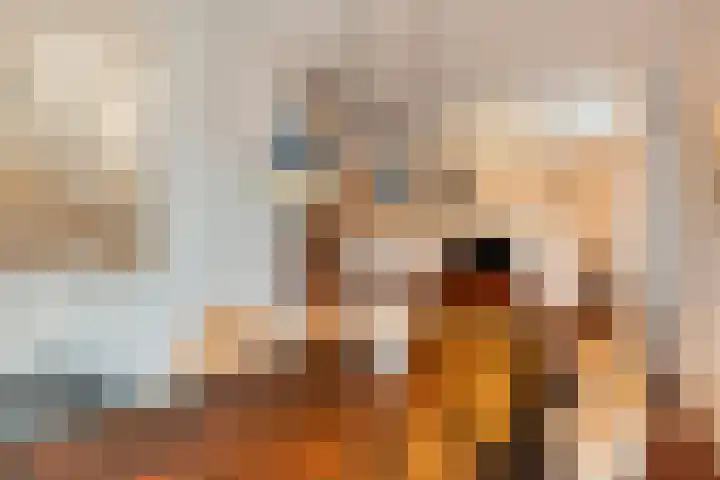 Drentelaan 18 Lage Zwaluwe thumbnail 8