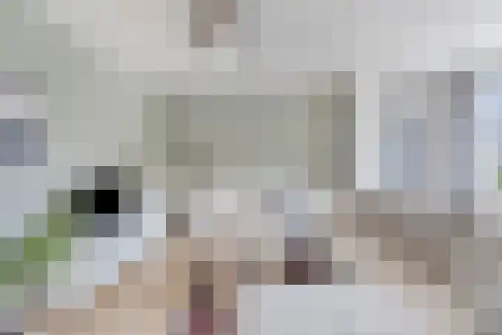 Drentelaan 26 Lage Zwaluwe thumbnail 10