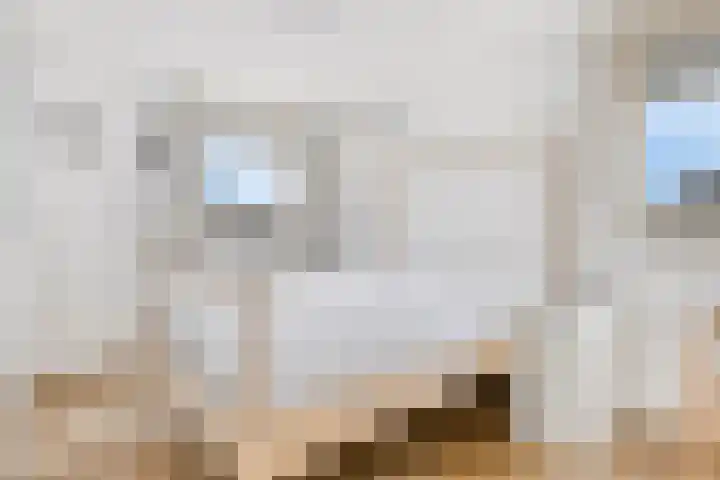 Drentelaan 26 Lage Zwaluwe thumbnail 20