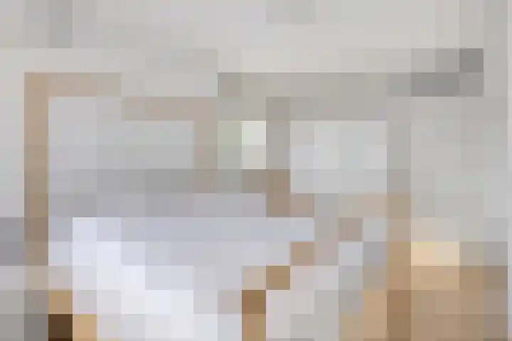 Drentelaan 26 Lage Zwaluwe thumbnail 21