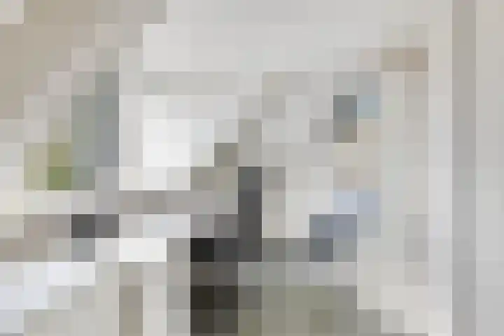 Drentelaan 26 Lage Zwaluwe thumbnail 25