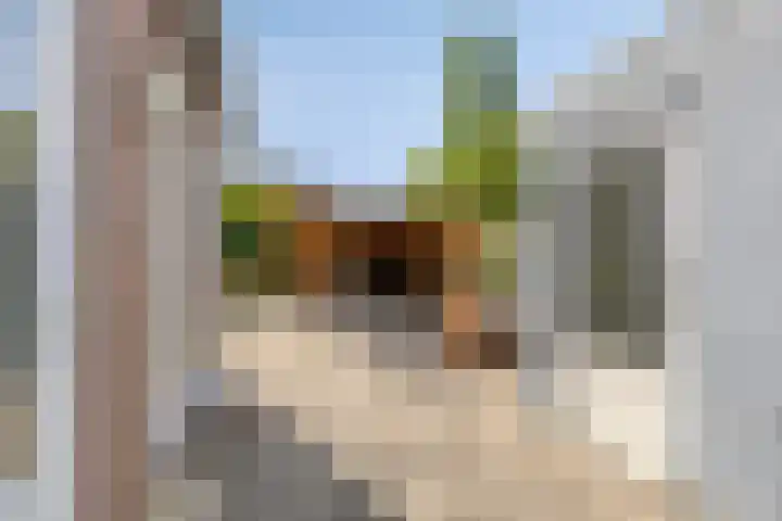 Drentelaan 26 Lage Zwaluwe thumbnail 26