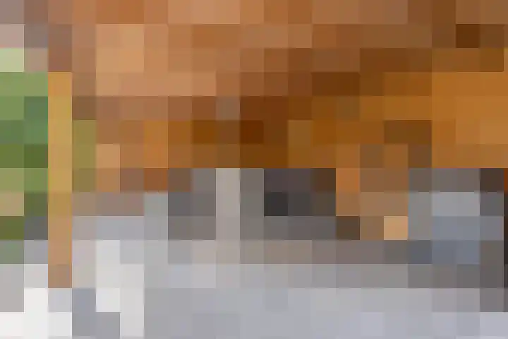 Drentelaan 26 Lage Zwaluwe thumbnail 29