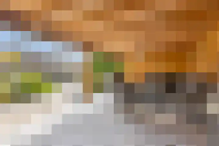 Drentelaan 26 Lage Zwaluwe thumbnail 30