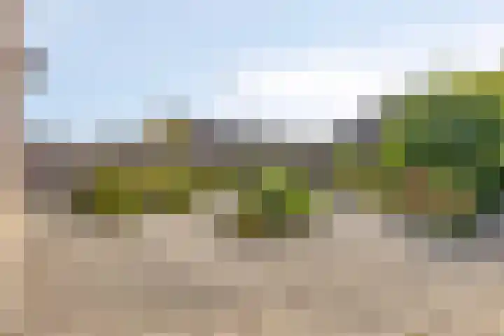 Drentelaan 26 Lage Zwaluwe thumbnail 31