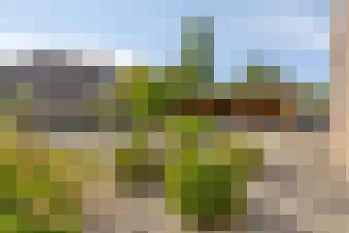 Drentelaan 26 Lage Zwaluwe thumbnail 32
