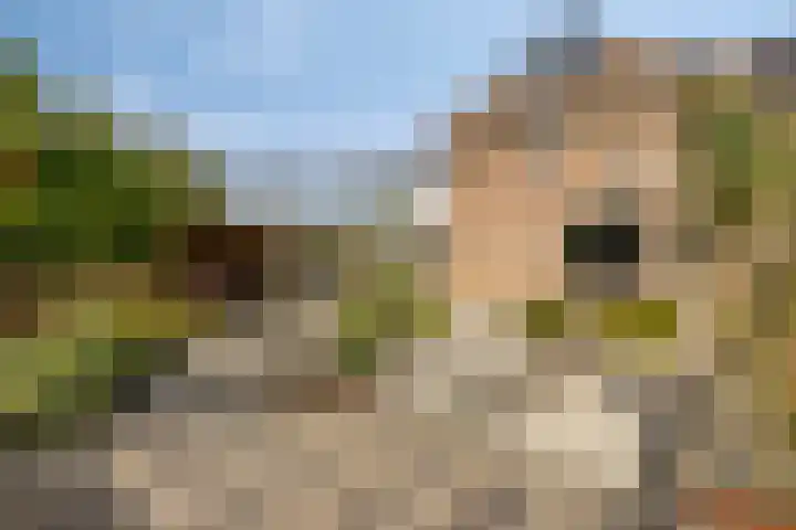 Drentelaan 26 Lage Zwaluwe thumbnail 33