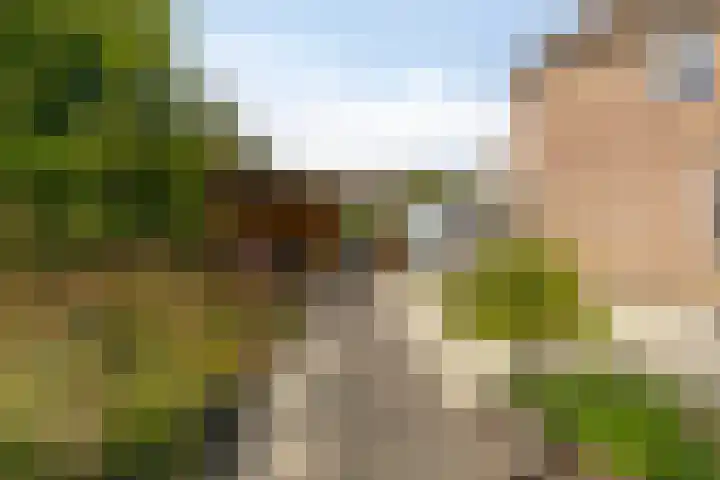 Drentelaan 26 Lage Zwaluwe thumbnail 34