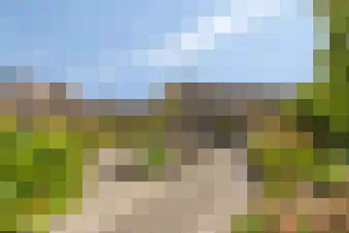 Drentelaan 26 Lage Zwaluwe thumbnail 35